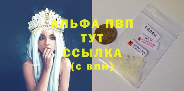 спайс Арсеньев