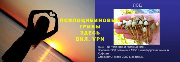 спайс Арсеньев