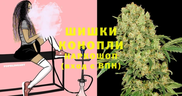 PSILOCYBIN Армянск