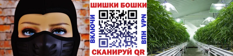 как найти   кракен зеркало  Канабис планчик  Острогожск 
